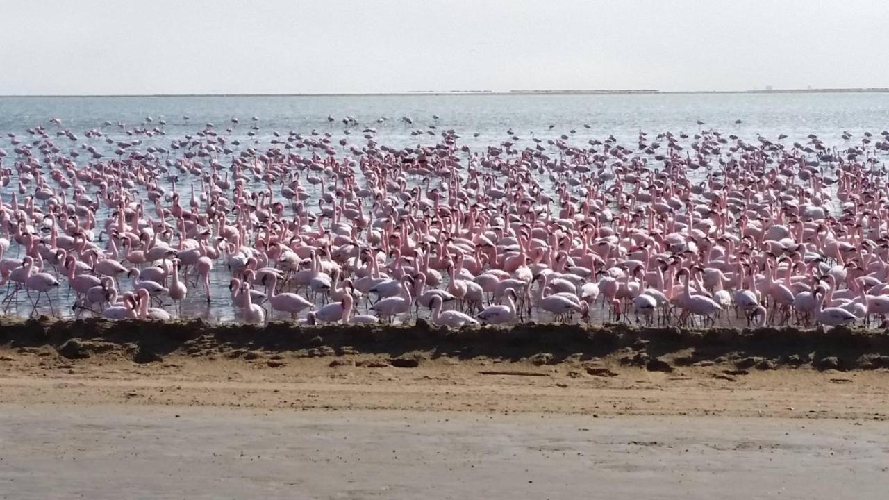 Bella Luna Bed And Breakfast Walvis Bay Exterior foto